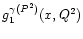 $g_1^{\gamma(P^2)}(x,Q^2)$