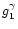 $g_1^{\gamma}$