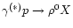$\gamma^{(*)} p
\to \rho^0 X$