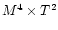 $M^4\times T^2$