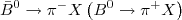 $$\bar B^0 \to \pi ^ - X\left( {B^0 \to \pi ^ + X} \right)$$