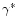 $\gamma^{*}$