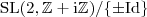 ${\mathrm{SL}}(2,{\mathbb{Z}} + {\mathrm{i}}{\mathbb{Z}})/\{\pm {\mathrm{Id}}\}$