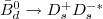$\bar B^0_d \to D_s^ + D_s^{-*}$