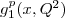 $g^{p}_{1}(x,Q^{2})$