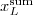 $x_{L}^{\mathrm{sum}}$