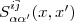 $S^{i \bar{j}}_{\alpha\alpha'}(x,x')$