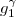 $g_{1}^{\gamma}$