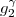 $g_{2}^{\gamma}$