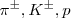 $$\pi ^{\pm },K^{\pm }, p$$