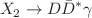 $$X_2\rightarrow D\bar{D}^{*}\gamma $$