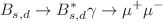 $$B_{s,d}\rightarrow B^*_{s,d}\gamma \rightarrow \mu ^+\mu ^-$$