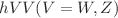 $$hVV(V=W,Z)$$