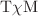 $$\text {T}\chi \text {M}$$