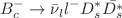 $$B^{-}_c \rightarrow \bar{\nu }_{l} l^- D^{*}_{s}\bar{D_{s}^{*}}$$