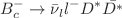 $$B^{-}_c \rightarrow \bar{\nu }_{l} l^- D^{*}\bar{D^{*}}$$