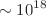 $$\sim {10^{18}}$$