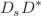 $$D_s D^*$$