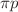 $$\pi p$$