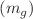$$(m_g)$$