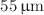 $$55\,\upmu \hbox {m}$$