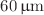 $$60\,\upmu \hbox {m}$$