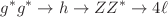 $$g^*g^*\rightarrow h\rightarrow ZZ^*\rightarrow 4\ell $$
