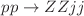 $$pp \rightarrow Z Z j j $$