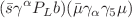 $$({\bar{s}}\gamma ^{\alpha }P_Lb)({\bar{\mu }}\gamma _{\alpha }\gamma _5\mu )$$
