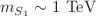 $$m_{S_1}\sim 1\ \hbox {TeV}$$