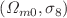 $$(\Omega _{m0},\sigma _{8})$$