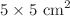 $$5\times 5~\hbox {cm}^2$$