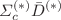 $$\Sigma _c^{(*)}\bar{D}^{(*)}$$