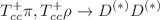 $$T_{cc}^+ \pi , T_{cc}^+ \rho \rightarrow D^{(*)} D^{(*)} $$