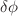 $$\delta \phi $$