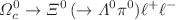 $$\Omega _c^0\rightarrow \Xi ^0\,(\rightarrow \Lambda ^{0} \pi ^0)\ell ^+\ell ^-$$