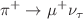 $$\pi ^+ \rightarrow \mu ^+ \nu _\tau $$