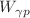 $$W_{\gamma p}$$