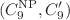 $$(C_9^{\textrm{NP}}, C_{9}^{\prime } )$$