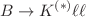 $$B\rightarrow K^{(*)}\ell \ell $$