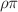 $$\rho \pi $$