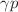 $$\gamma p$$