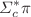 $$\Sigma _{c}^{*}\pi $$