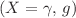 $$(X = \gamma , \, g)$$