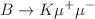 $$B\rightarrow K\mu ^+\mu ^-$$