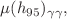 $$\mu (h_{95})_{\gamma \gamma },$$