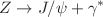 $$Z\rightarrow J/\psi + \gamma ^{*}$$