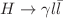 $$H\rightarrow \gamma l{\bar{l}}$$