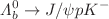 $$\Lambda _b^0 \rightarrow J/\psi p K^-$$