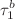 $$\tau _1^b$$